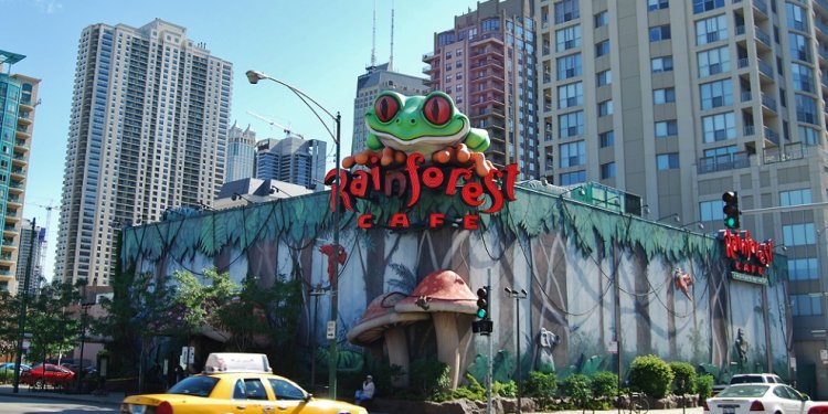 Rainforest Cafe Chicago Il 49