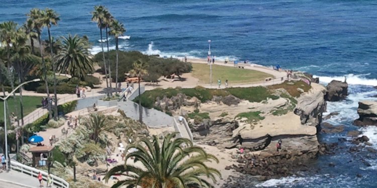 View from the Georges restaurant where we ate lunch in La Jolla