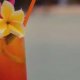 Best Beach bars in San Diego