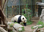 Wine and Food Festival San Diego Bay San Diego Zoo Image